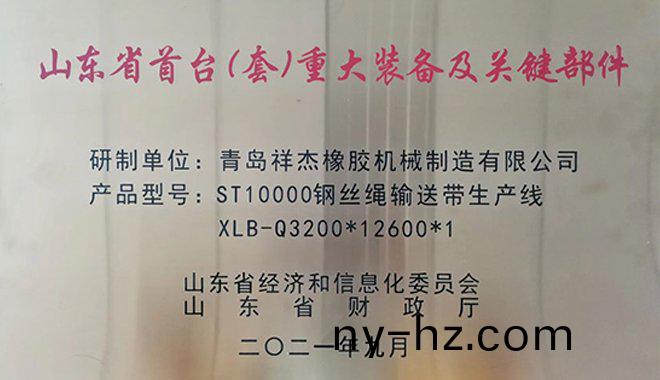 我(wo)公司ST10000鋼絲(si)繩(sheng)輸送(song)帶(dai)生(sheng)産(chan)線榮穫山(shan)東省(sheng)首檯（套(tao)）重(zhong)大裝(zhuang)備及關(guan)鍵(jian)部(bu)件